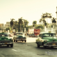 Taxis on Prado